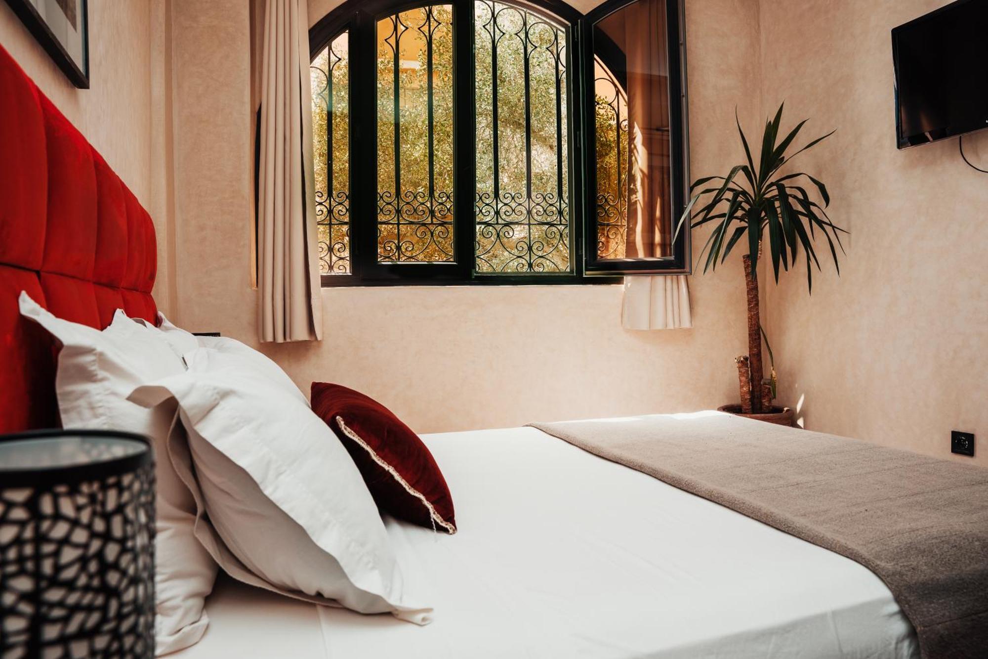 Auberge Riad Dlim Tamraght Eksteriør billede